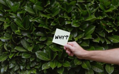 7 raisons de dévoiler le « Pourquoi » de votre entreprise